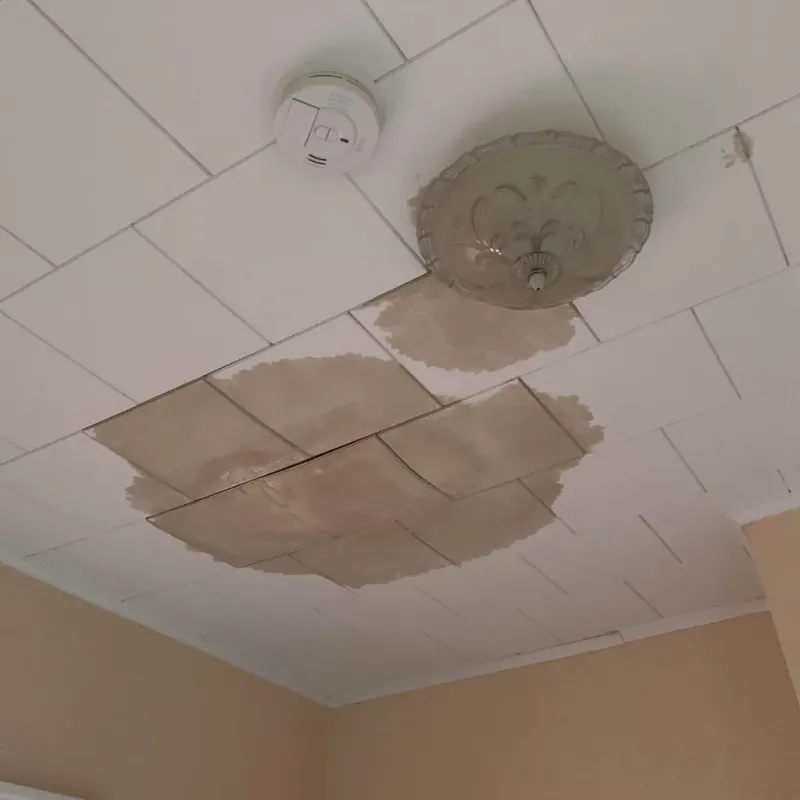 Ceiling Water Damage Repair in Pinewood, FL